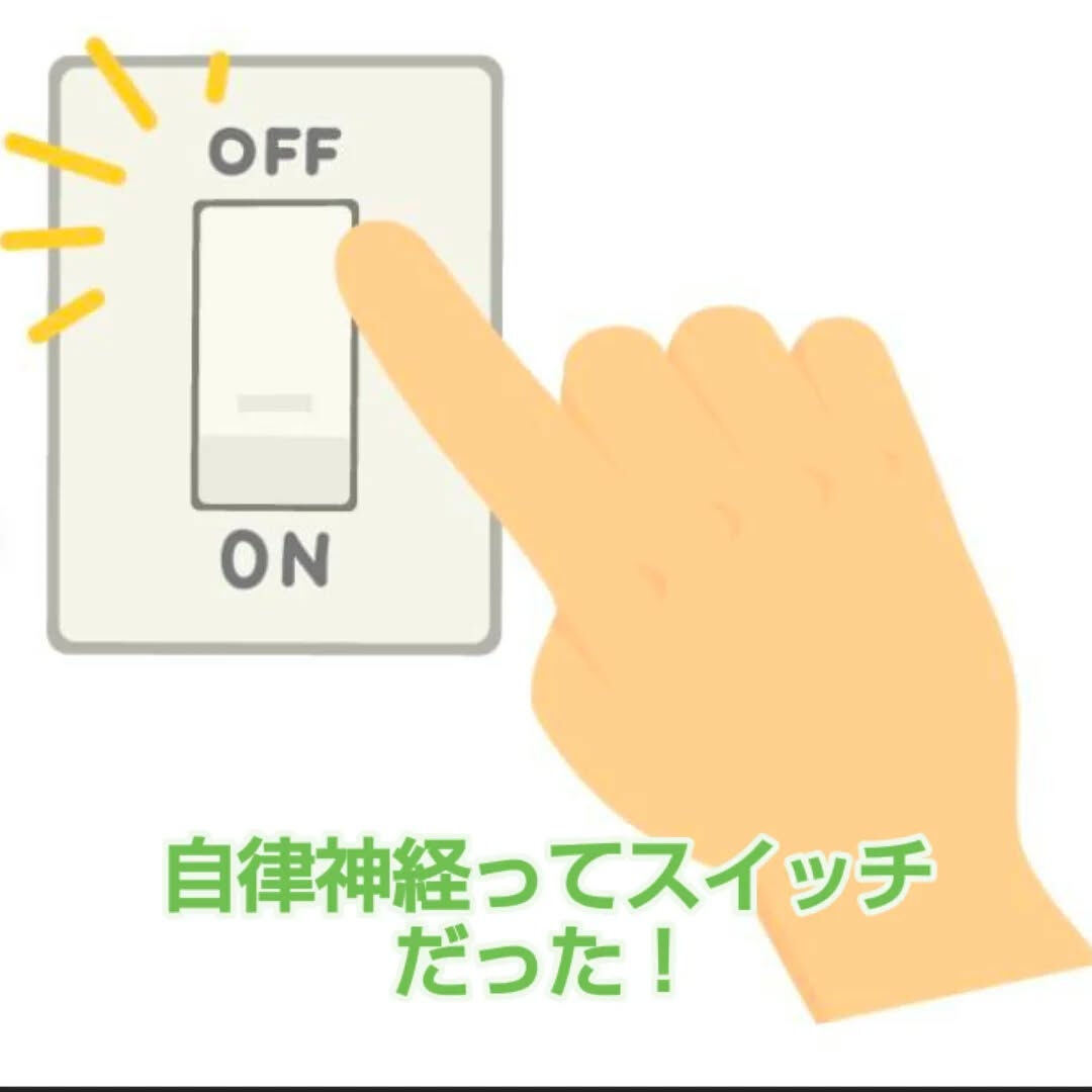 自律神経って？①