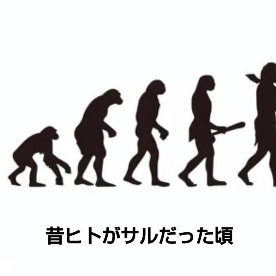 自律神経って緊張とリラックスのスイッチだった！
