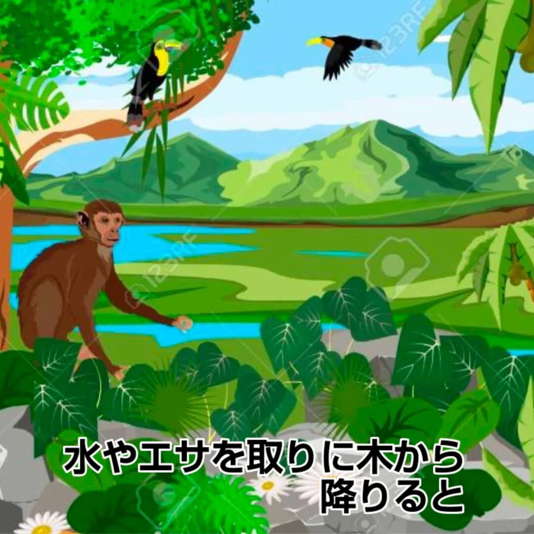 自律神経って緊張とリラックスのスイッチだった！