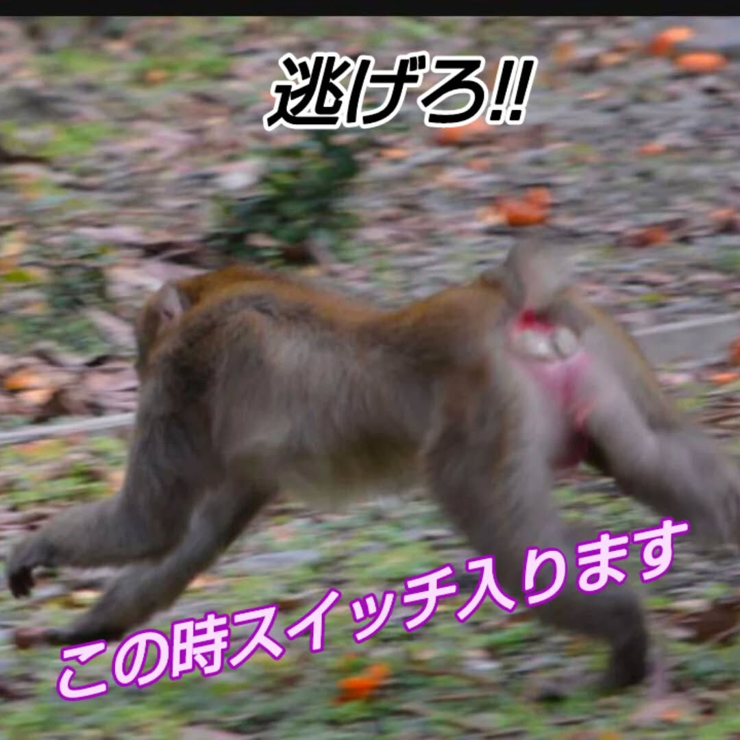 自律神経って緊張とリラックスのスイッチだった！