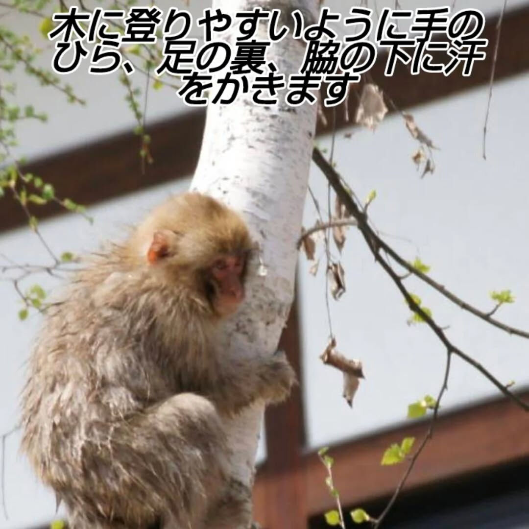自律神経って緊張とリラックスのスイッチだった！